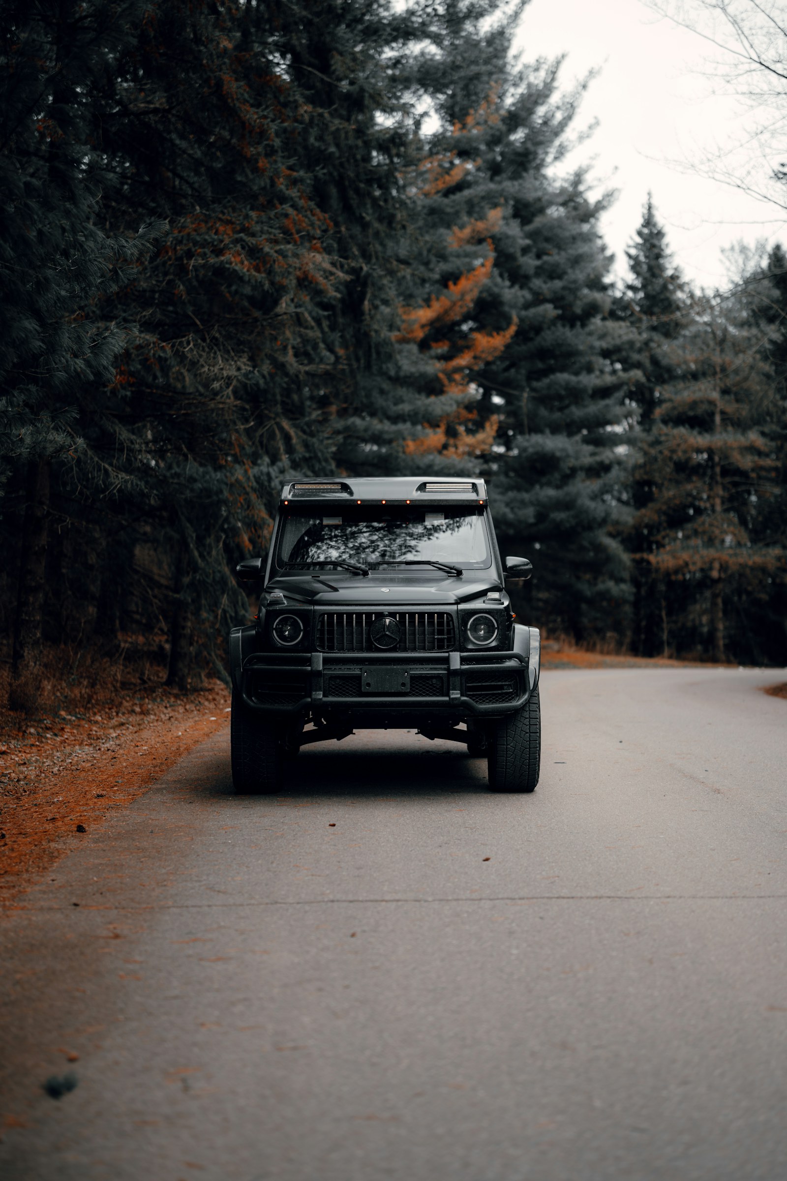 Mercedes-Benz SUV on a forest road